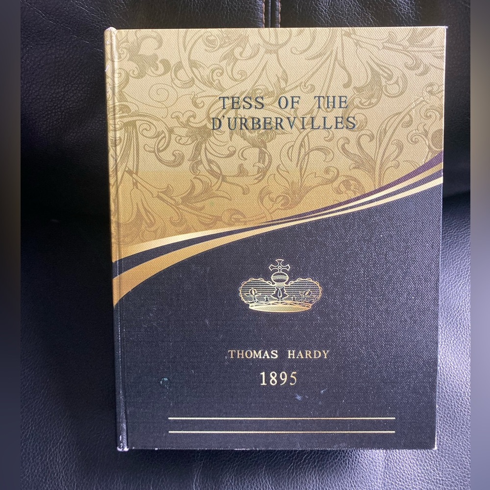 Thomas Hardy 1895 Decorative Fake Book Storage Bookend Storage Box